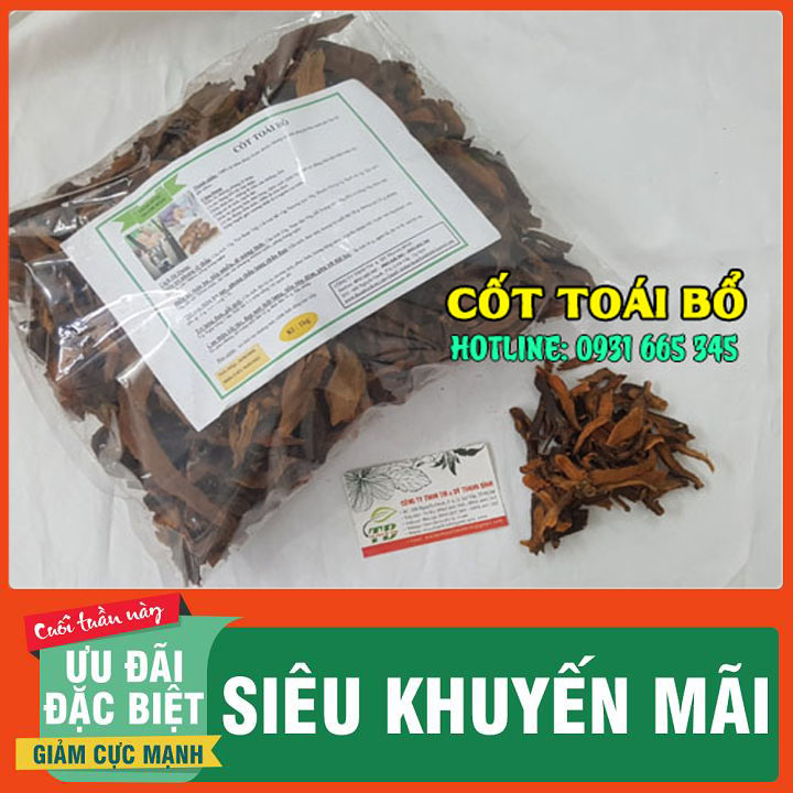 Cốt Toái Bổ Khô ( Tắc Kè Đá ) 100G Hàng Cao Cấp - Dược Liệu Thanh Bình