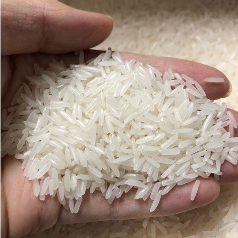 Gạo tám thái thơm ngon Đại lý gạo Bà Tám