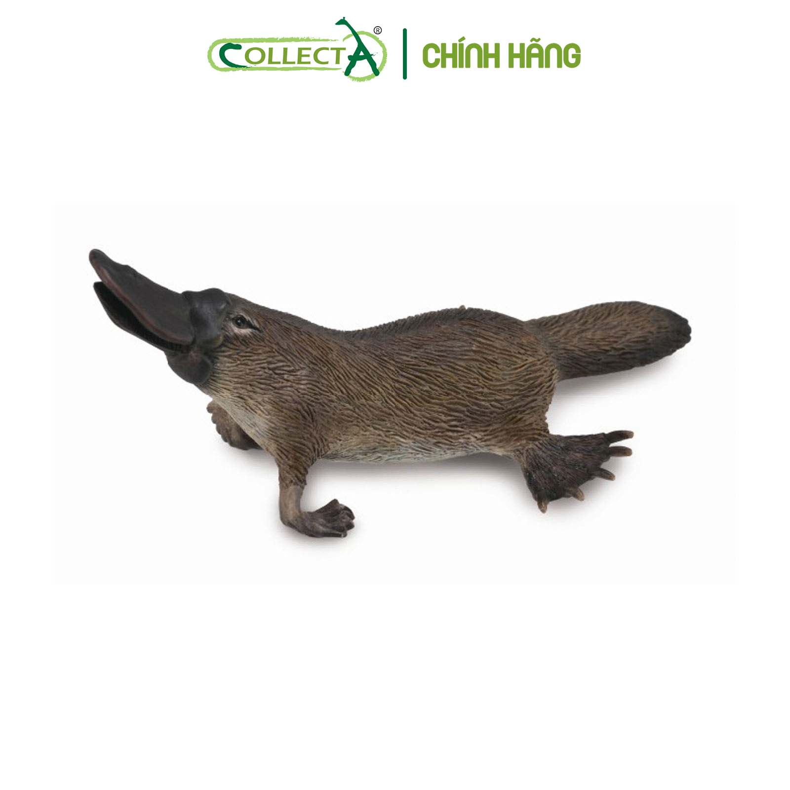 Đồ chơi mô hình động vật CollectA Thú Mỏ Vịt - Platypus