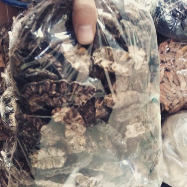 Xả hàng - quả nhàu khô 1kg 683lz