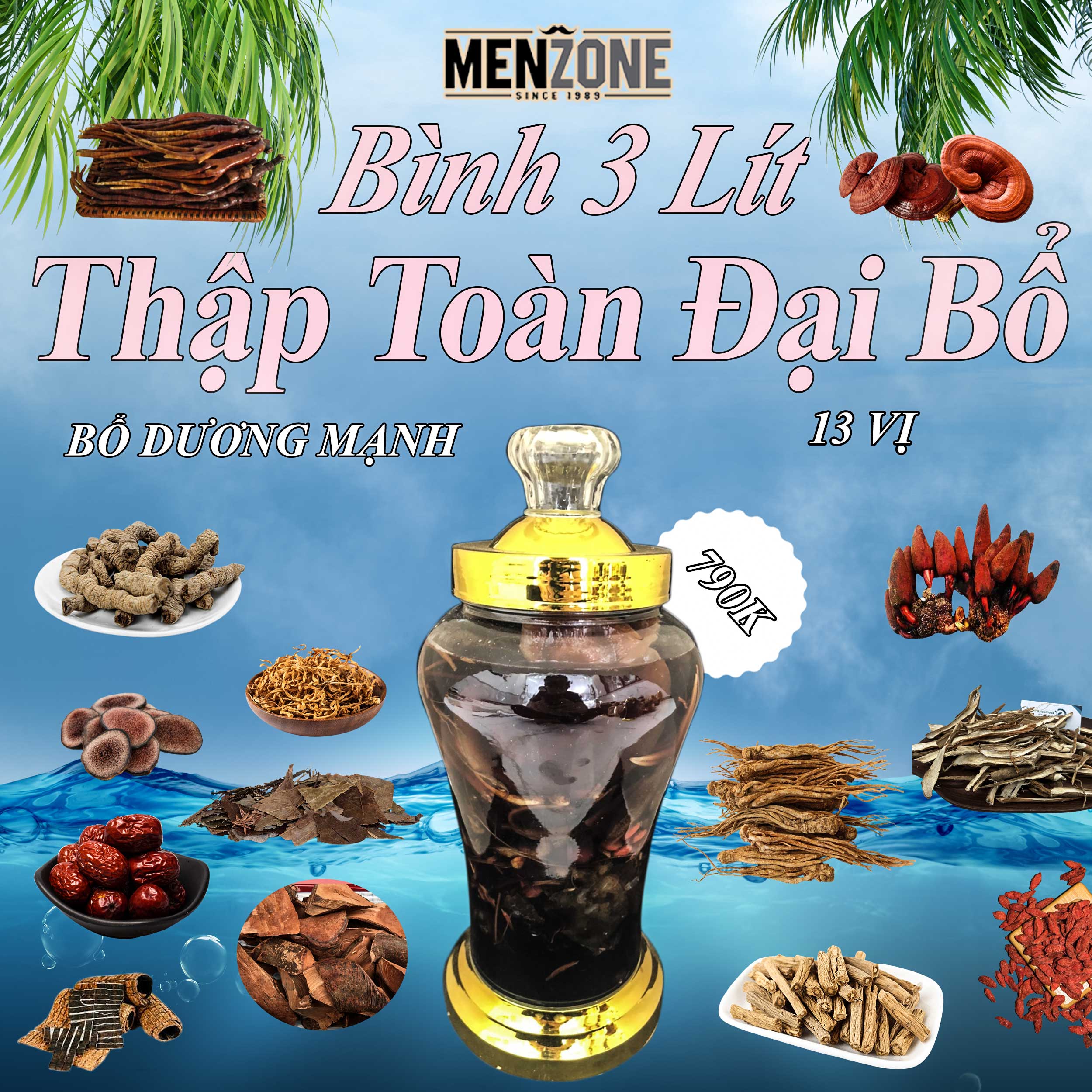 Đế Vương Tửu 9 Vị - Thập Toàn Đại Bổ | Lazada.vn
