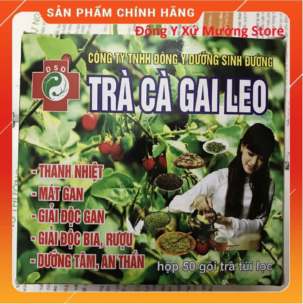 Trà cà gai leo túi lọc dưỡng sinh đường giúp thanh lọc giải độc gan, dưỡng tâm, an thần
