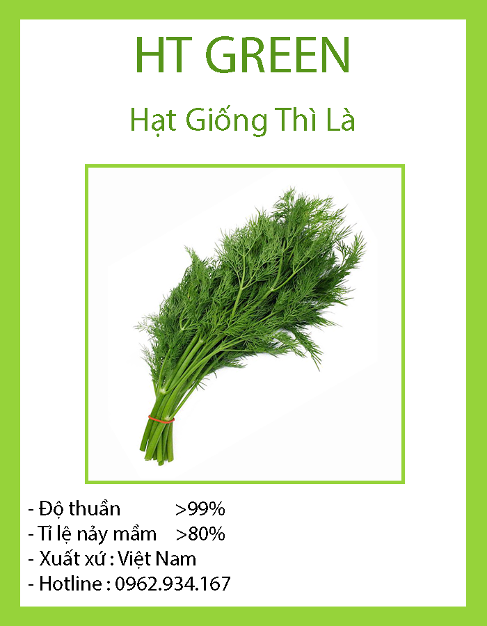 Hạt giống thì là bốn mùa