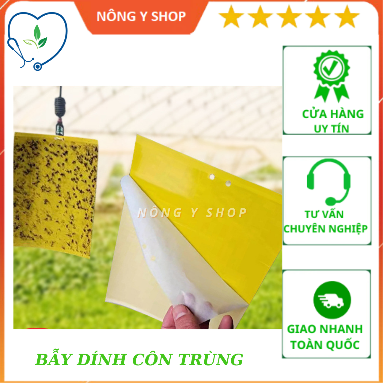 Miếng Dán Bẫy Côn Trùng, ruồi vàng, sâu bọ trong vườn cây 15x20cm, 20x25cm ruồi hại trái cây, ruồi đục trái