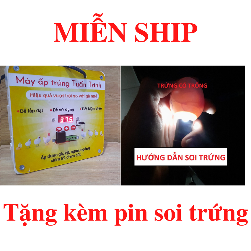 Máy ấp trứng mini, phù hợp cho gà, vịt, ngan, ngỗng, chim trĩ, chim cút, tặng pin soi trứng 20k