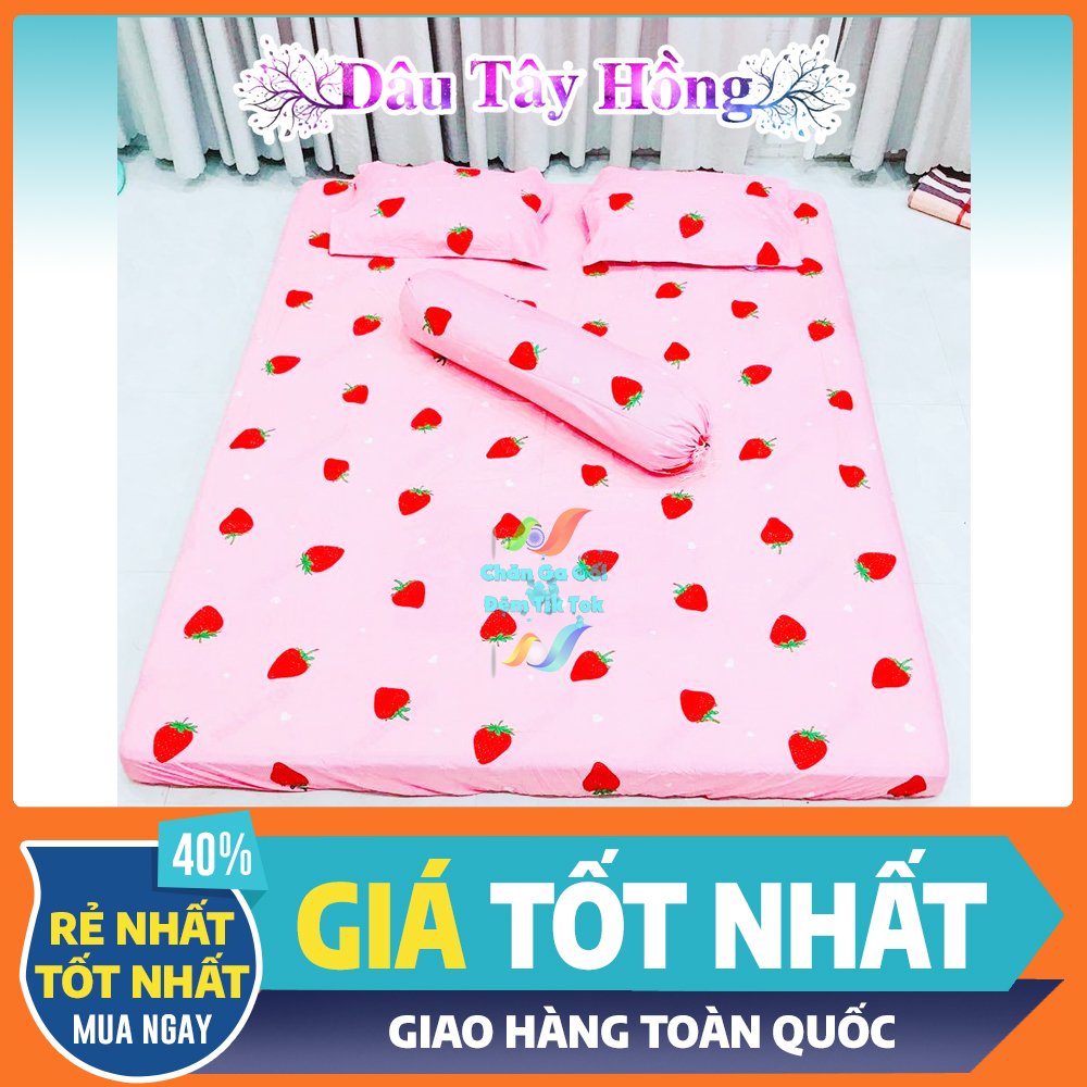 Bộ 4 Món Dâu Tây Hồng Cực Dễ Thương Dành Cho Các Bạn Gái Yêu Màu Hồng - Đủ Kích Thước