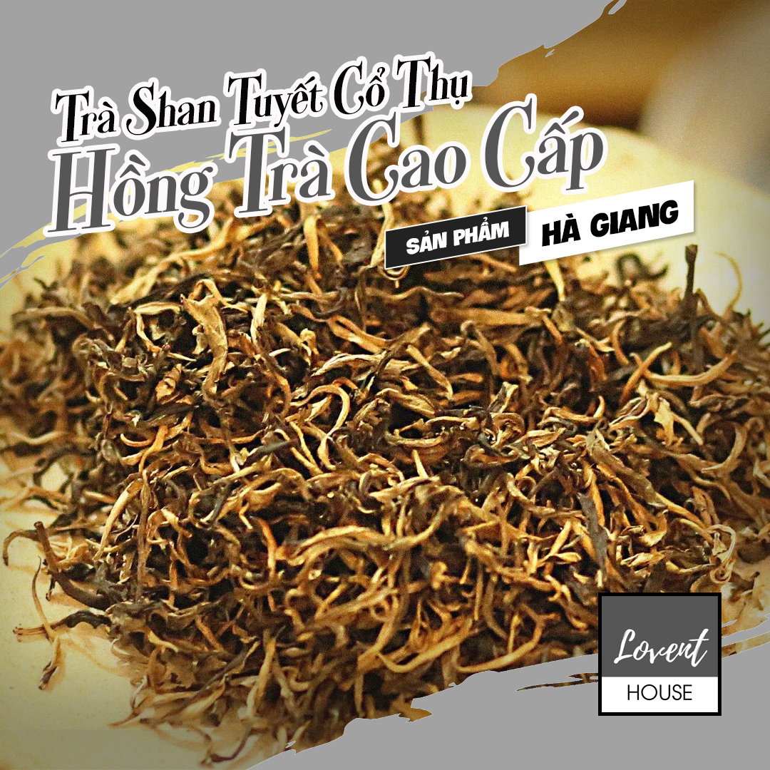 [Lovent House] Hồng Trà cao cấp Shan Tuyết Cổ Thụ Hà Giang- Một Búp Một Lá- 100g Hương thơm, hậu ngọt đắng dư vị lâu