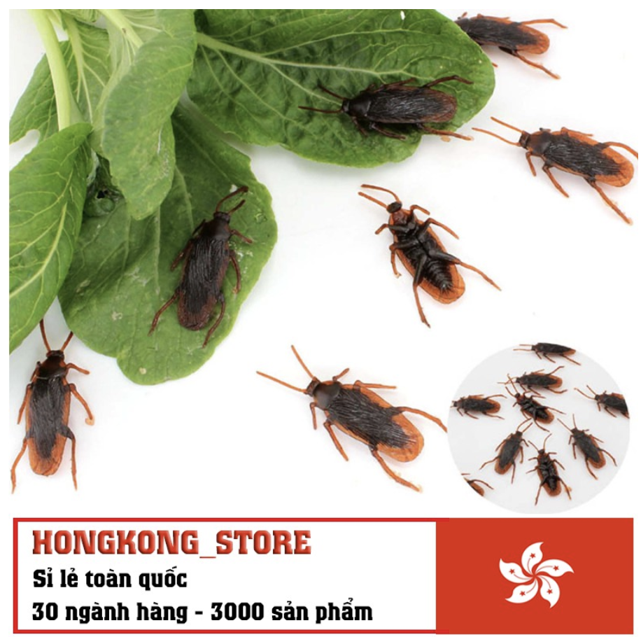 [COMBO 3 Con] Đồ chơi con gián độc đáo - Đồ chơi mô phỏng động vật cho bé