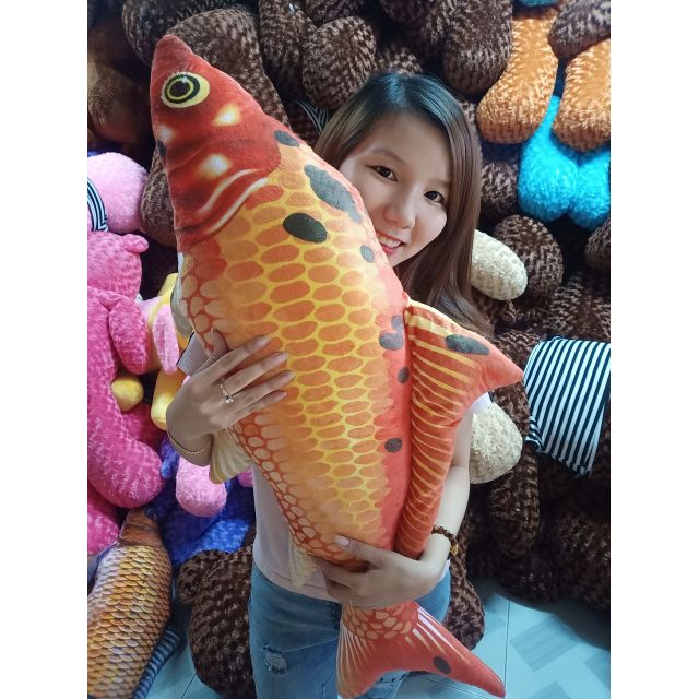 Cá chép gấu bông 3d