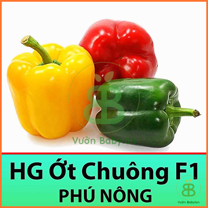 Hạt Giống Ớt Chuông 0,5Gr F1 Sai Trái