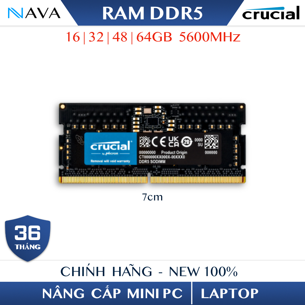 RAM DDR5 5600 SamSung Crucial 16GB 32GB 48GB Chính Hãng Bảo Hành 3 Năm Laptop Mini PC Bus 5600Mhz