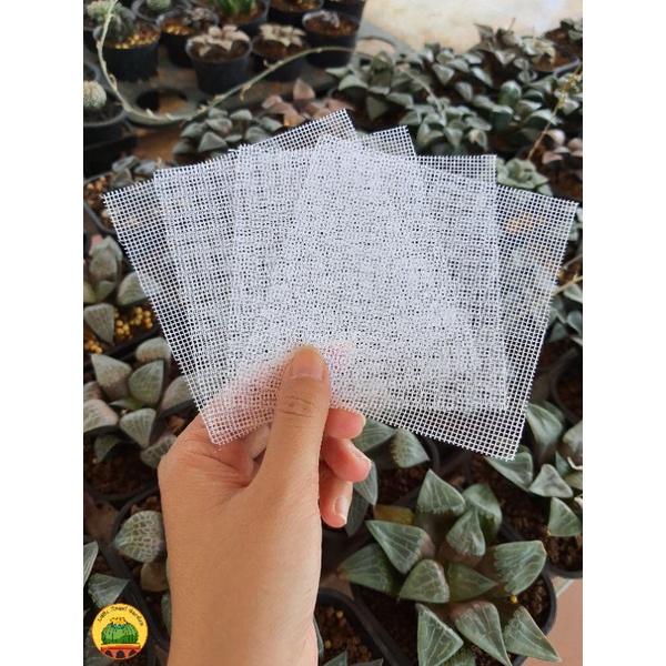 1 lưới lót chậu, kích thước 10 x 10cm