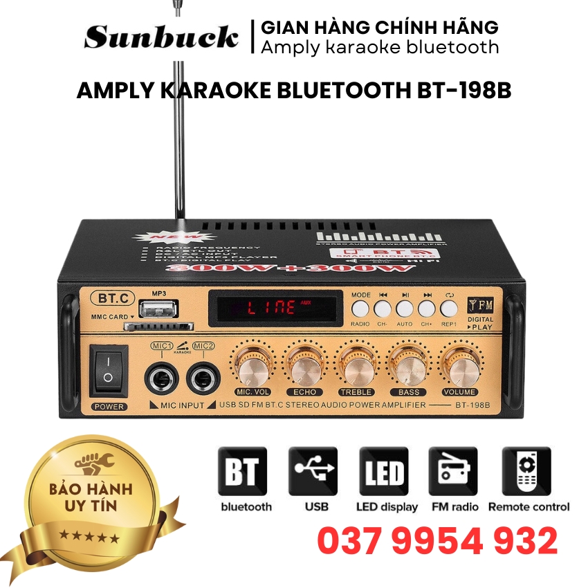 Amply karaoke bluetooth gia đình 12V/220V BT-198B, amply karaoke mini hỗ trợ bluetooth 5.0, đa chức năng, điều chỉnh echo treble bass Hàng Chính Hãng, amply cho xe hơi