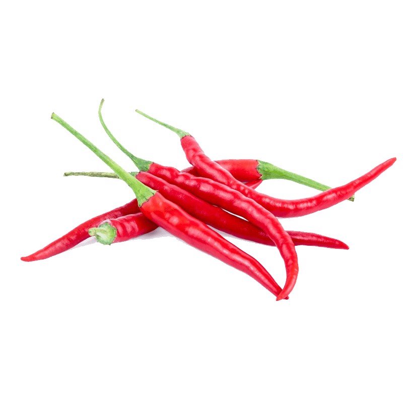 Hạt giống ớt chỉ thiên siêu cay gói 0.5g