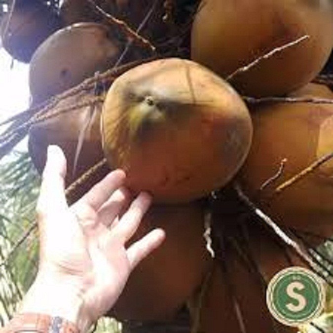 zJFVKUnpYdADFHbBkI0H_simg_d0daf0_800x1200_max.jpg