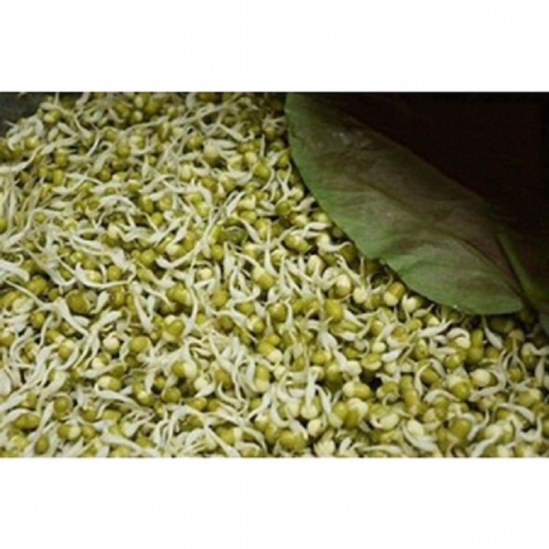 Đậu xanh nguyên vỏ làm giá hút chân không 500g