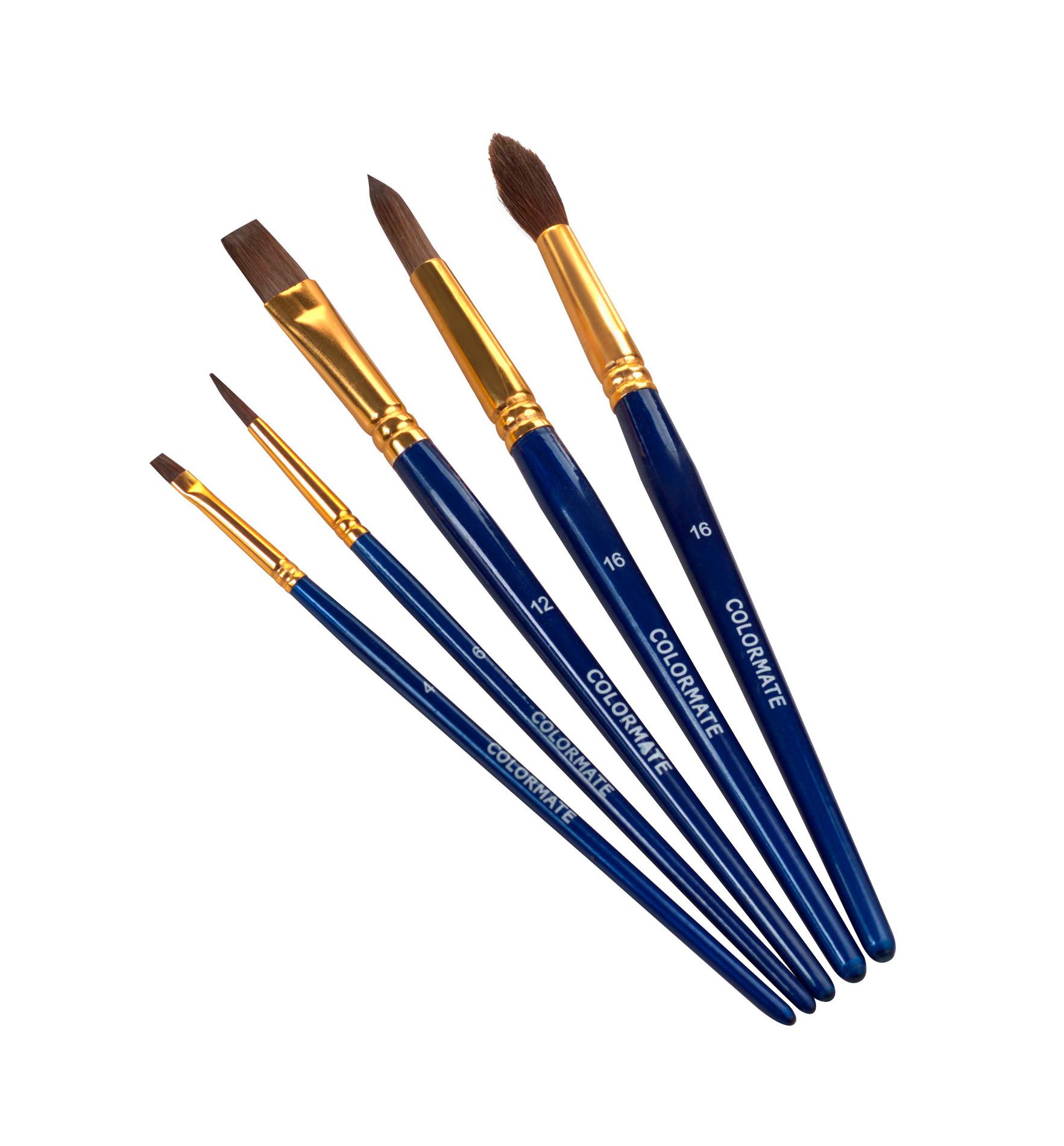 Combo bộ cọ sculpt and blend 3 - 10 piece brush set bha