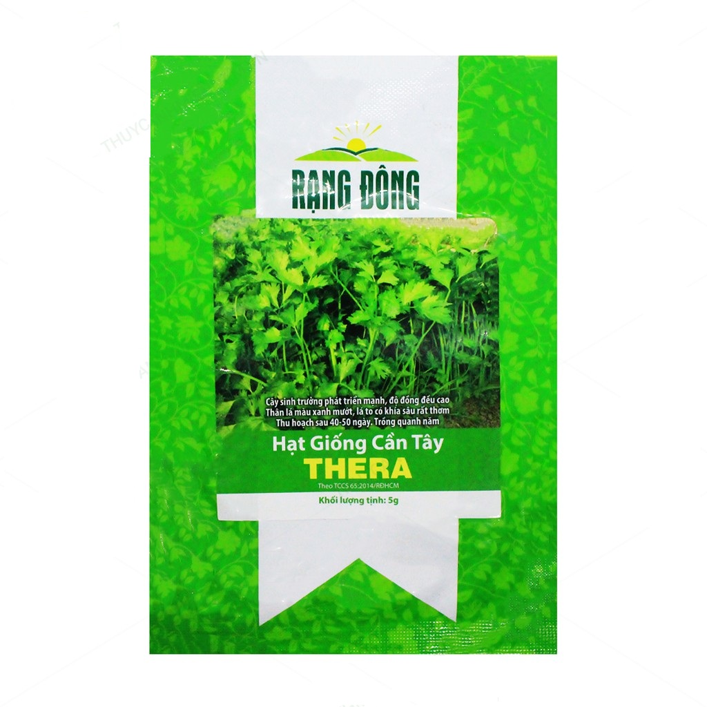 Hạt giống rau thơm cần tây - giống cần tây