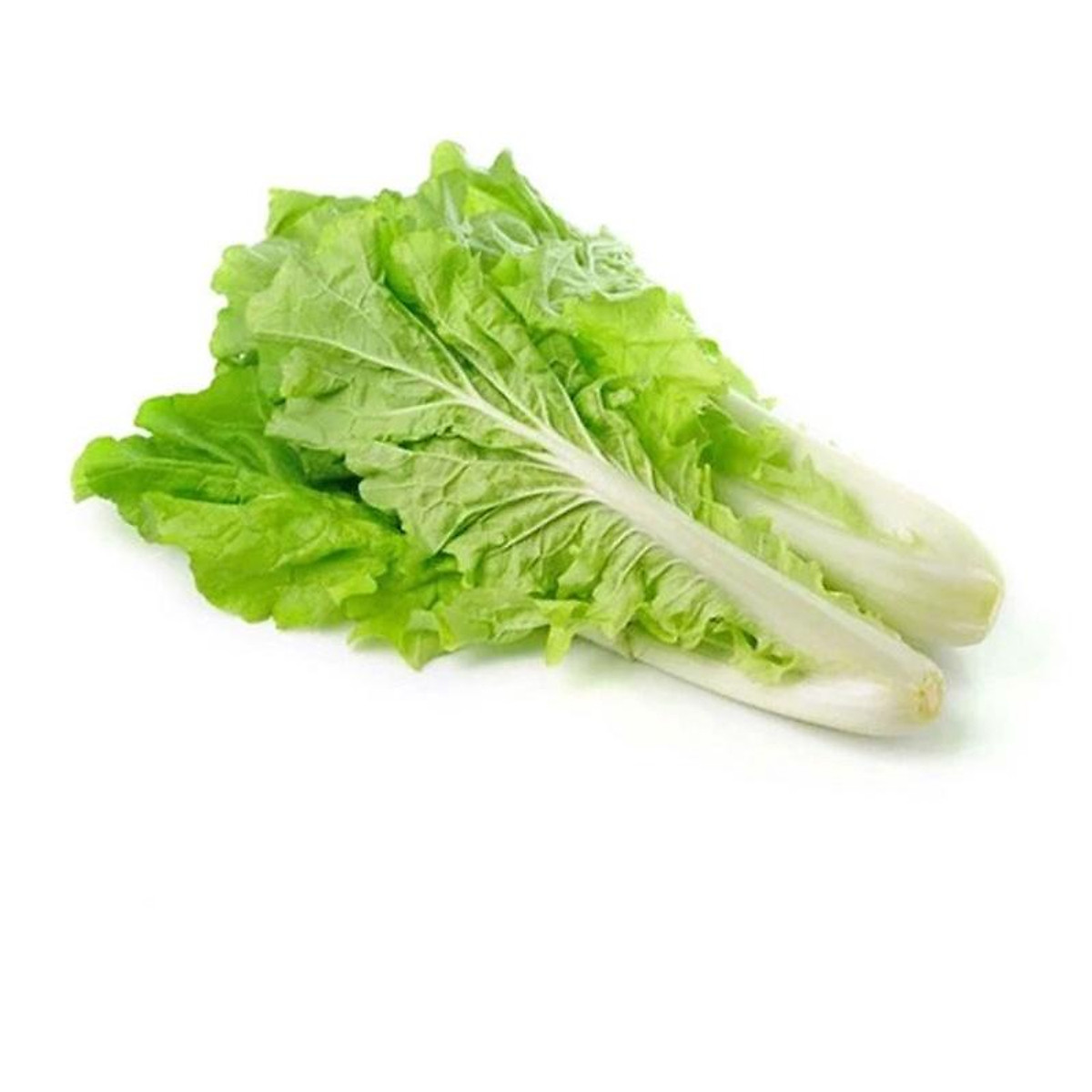 Hạt giống Cải bẹ dún