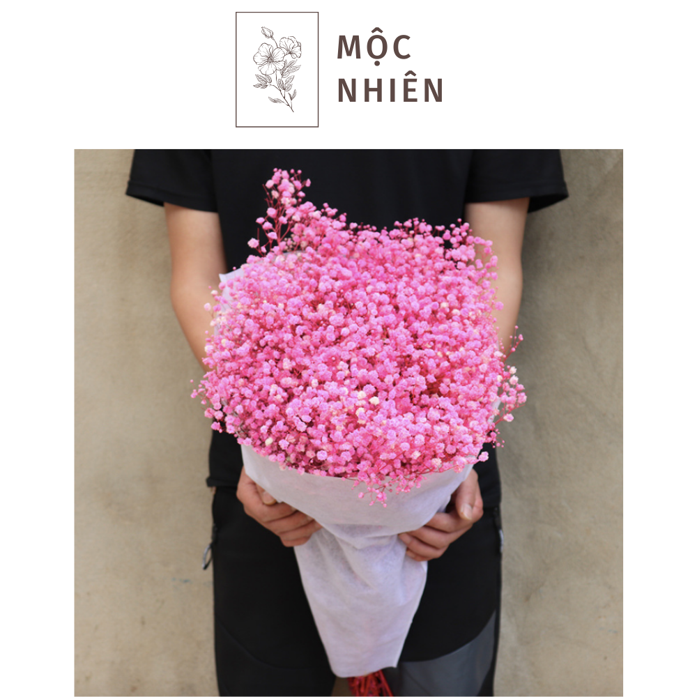 Hoa Baby Khô Trang Trí - Gypsophila Hồng Nhạt Bó 10Gr - Hoa Trang Trí