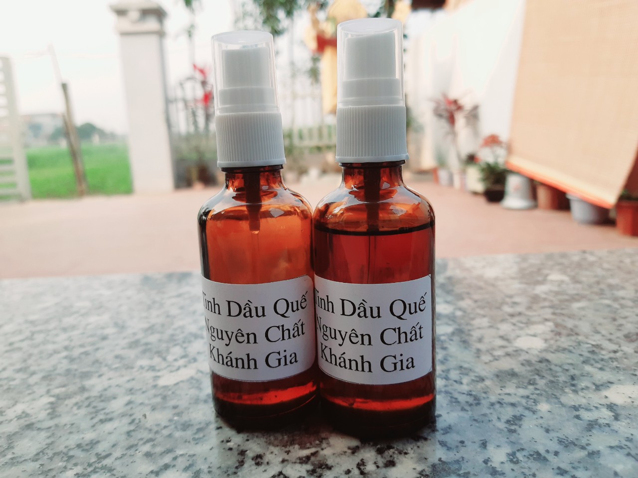 Tinh dầu Quế nguyên chất 100% tự nhiên Chai 50ml