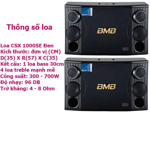 Loa karaoke csx 1000se