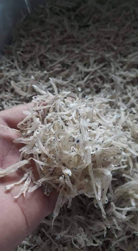 500g cá cơm mờm bún nha trang