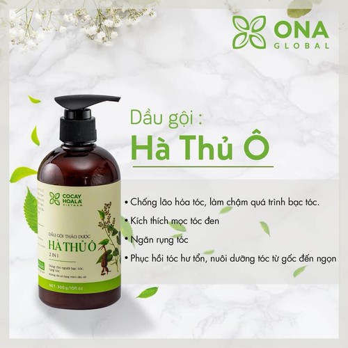 Dầu gội đen tóc thảo dược Hà thủ Ô giảm gãy rụng tóc, giảm bạc tóc, phục hồi hư tổn Cocayhoala 300g