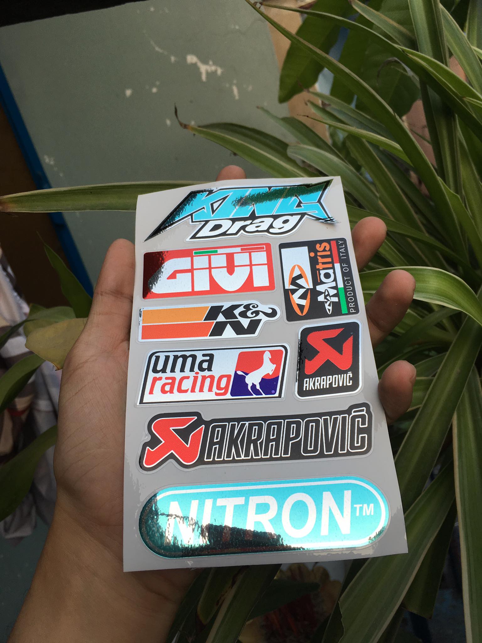 TEM LOGO SI CROM KING DRAG GIUI KN