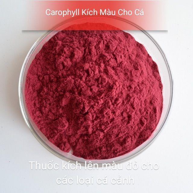 Carophyll kích màu đỏ vàng cho các loại cá có thể trộn đồ tươi cho cá cảnh