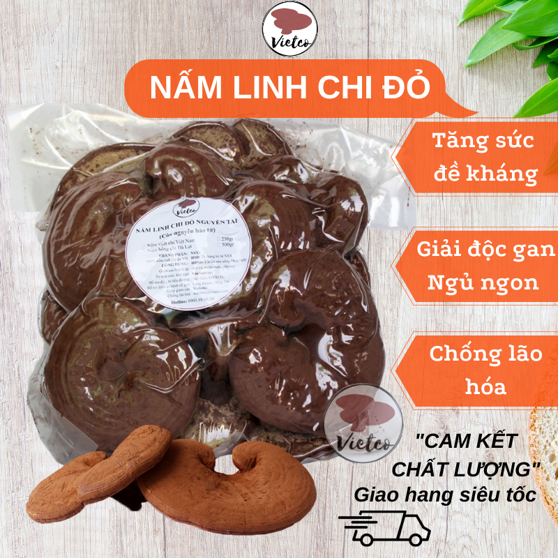 Nấm linh chi đỏ nguyên tai còn nguyên bào tử Vietco - Xích chi loại 1