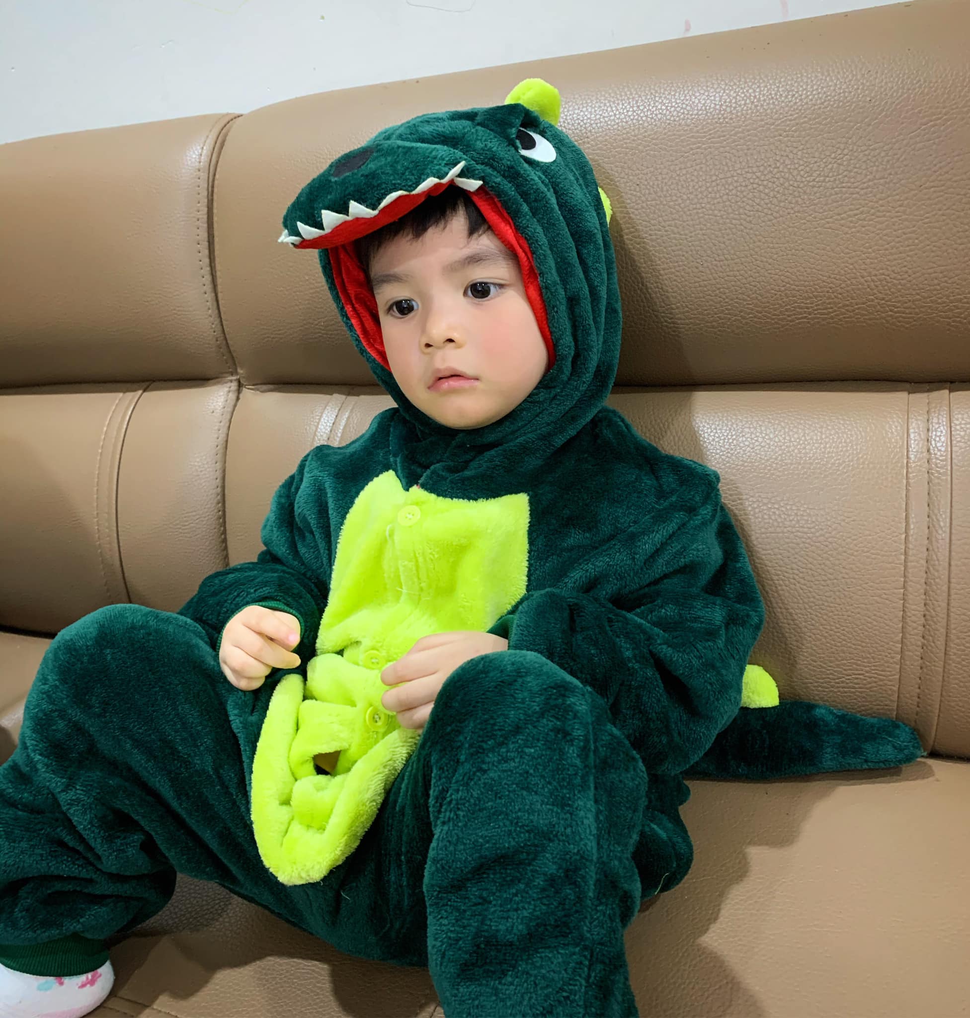 BỘ ĐỒ THÚ KHỦNG LONG XANH, BỘ ĐỒ THÚ CÁ SẤU XANH CHO TRẺ EM CHẤT MÊM MỊN ( không bao gồm dép )