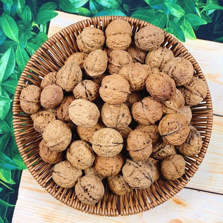 Óc chó vàng đặc sản sapa nguyên vỏ