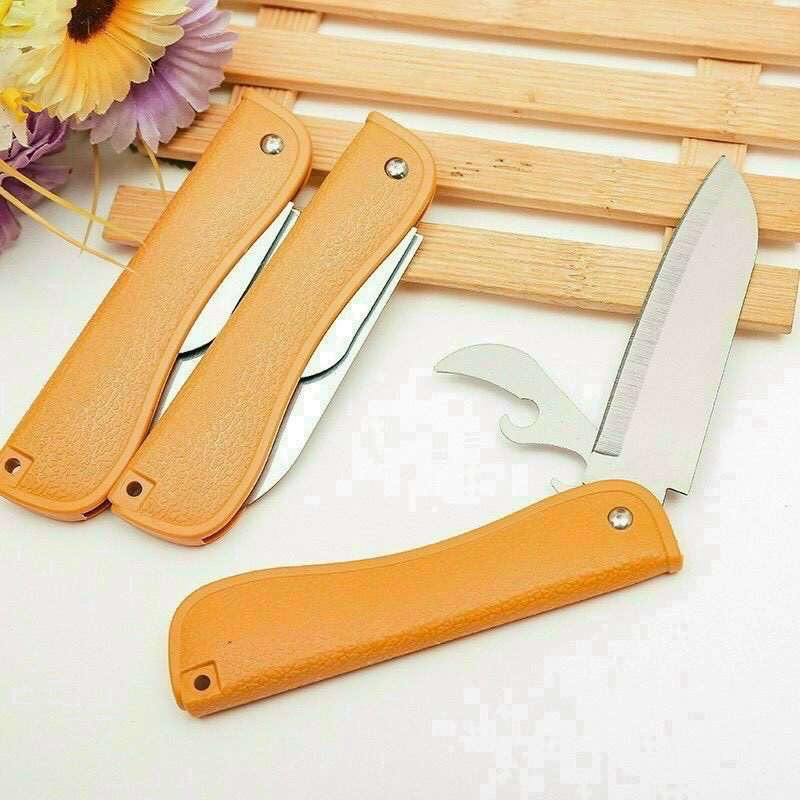 Combo 2 dao gọt trái cây