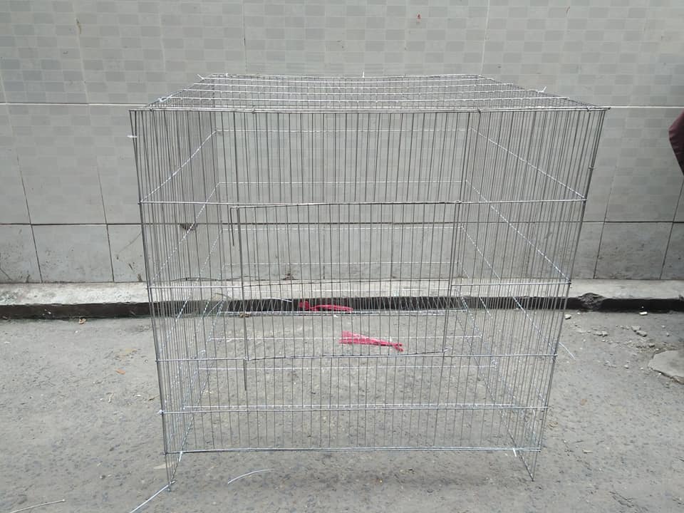 chuồng chim bồ câu , gà tre 80 x80 cm