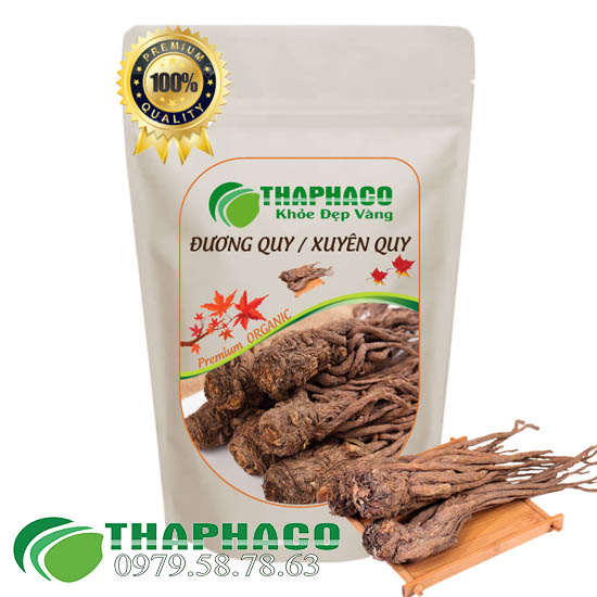 Đương quy sấy khô 100g thaphaco