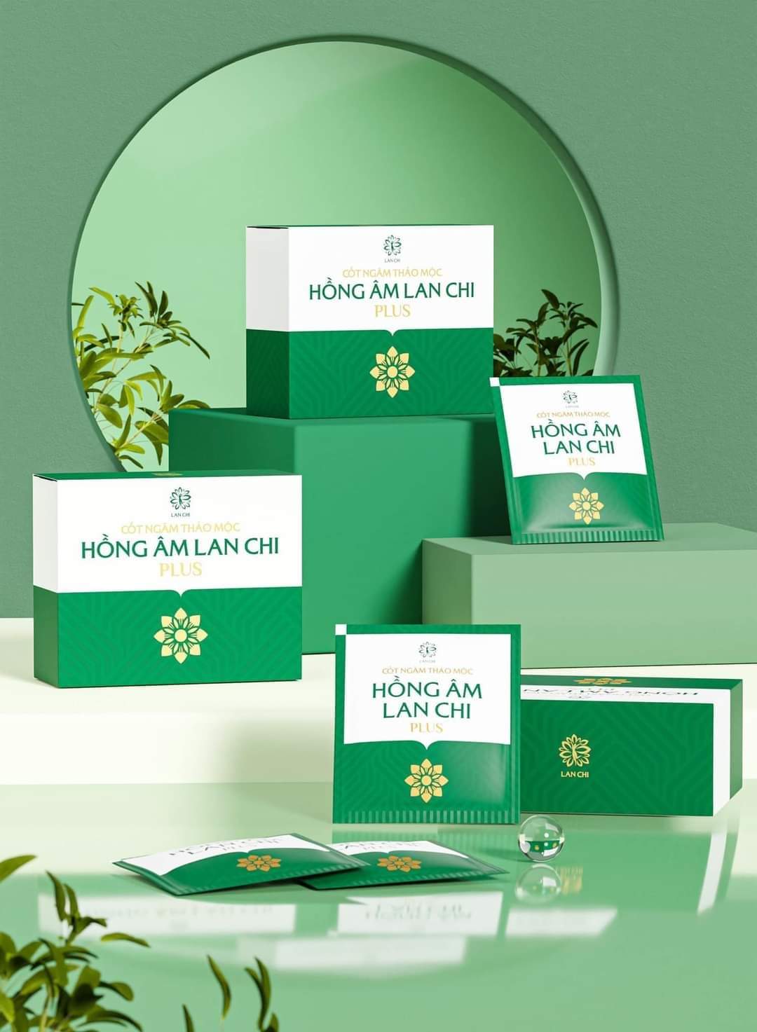 Hộp 12 kén Hồng âm tiêu viêm Lan chi X2 chính hãng