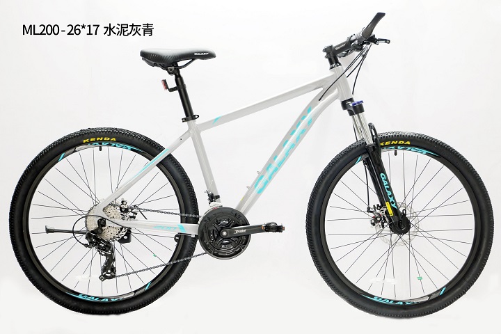 Xe đạp thể thao GALAXY ML200 2023 khung nhôm, shimano 24 tốc - Xe đạp học