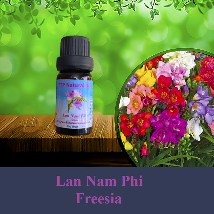 Tinh dầu hoa lan nam phi - fressia - 10ml