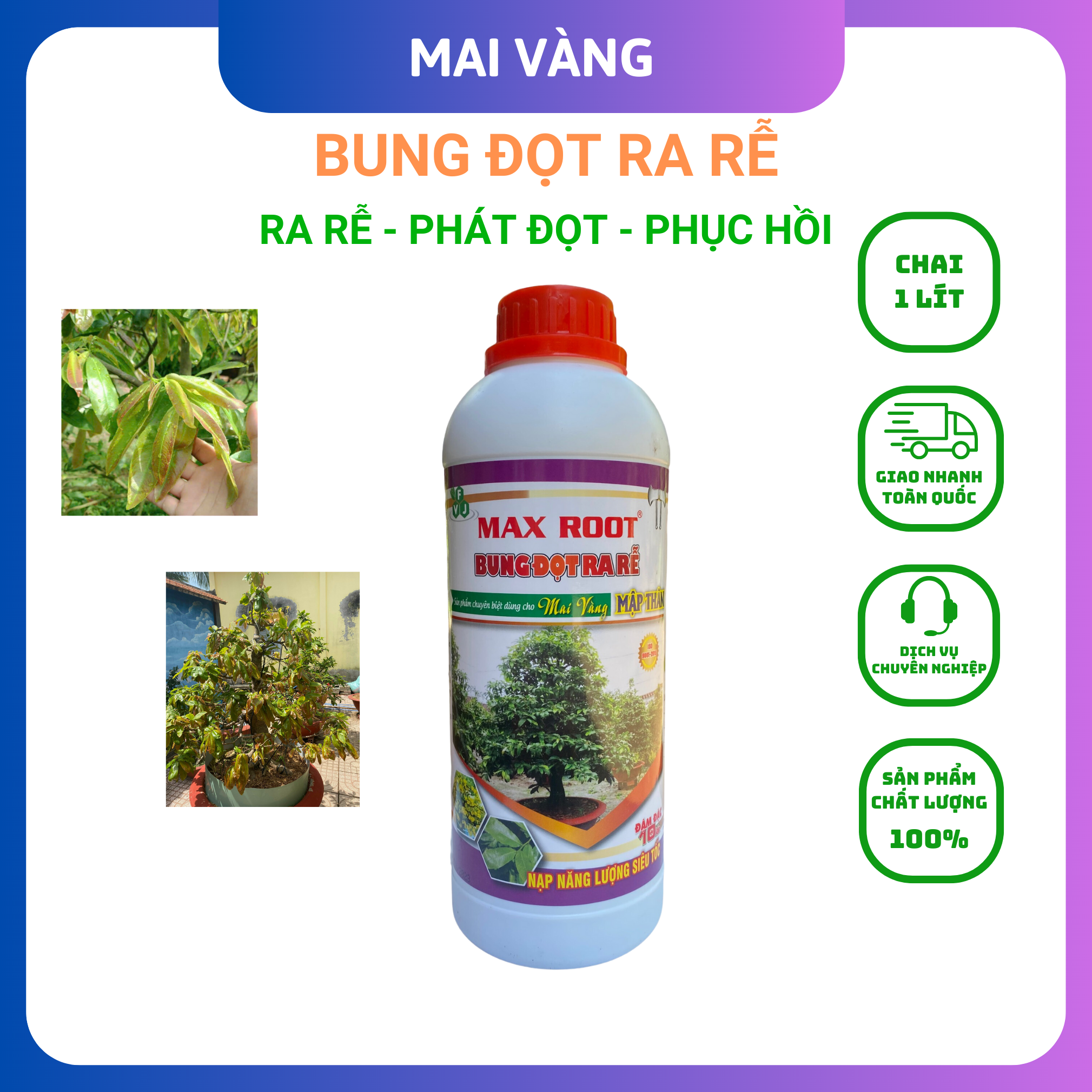 Phân bón mai vàng, siêu vọt đọt phục hồi cây, chai 1 lít