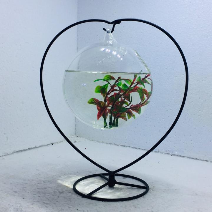 Bể cá mini để bàn treo TIM 16