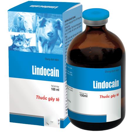 Dung dịch tiêm gây tê cục bộ cho chó mèo thú cưng - Lindocain 5ml