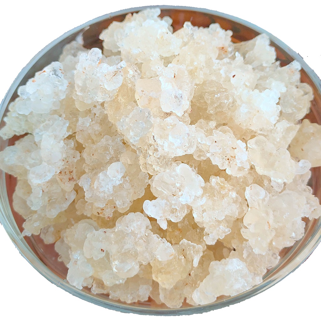 Tuyết yến vân nam 100g nấu chè dưỡng nhan - ăn vặt