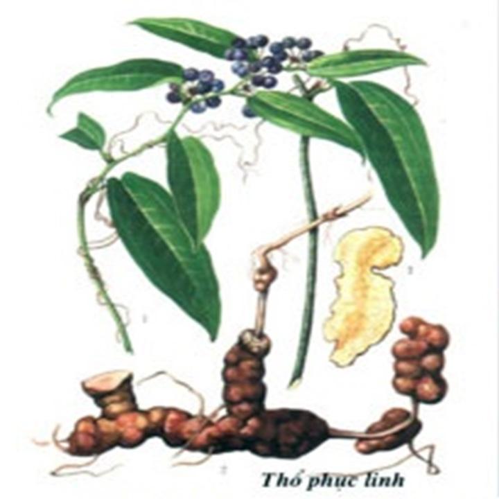 thổ phục linh khô 1kg