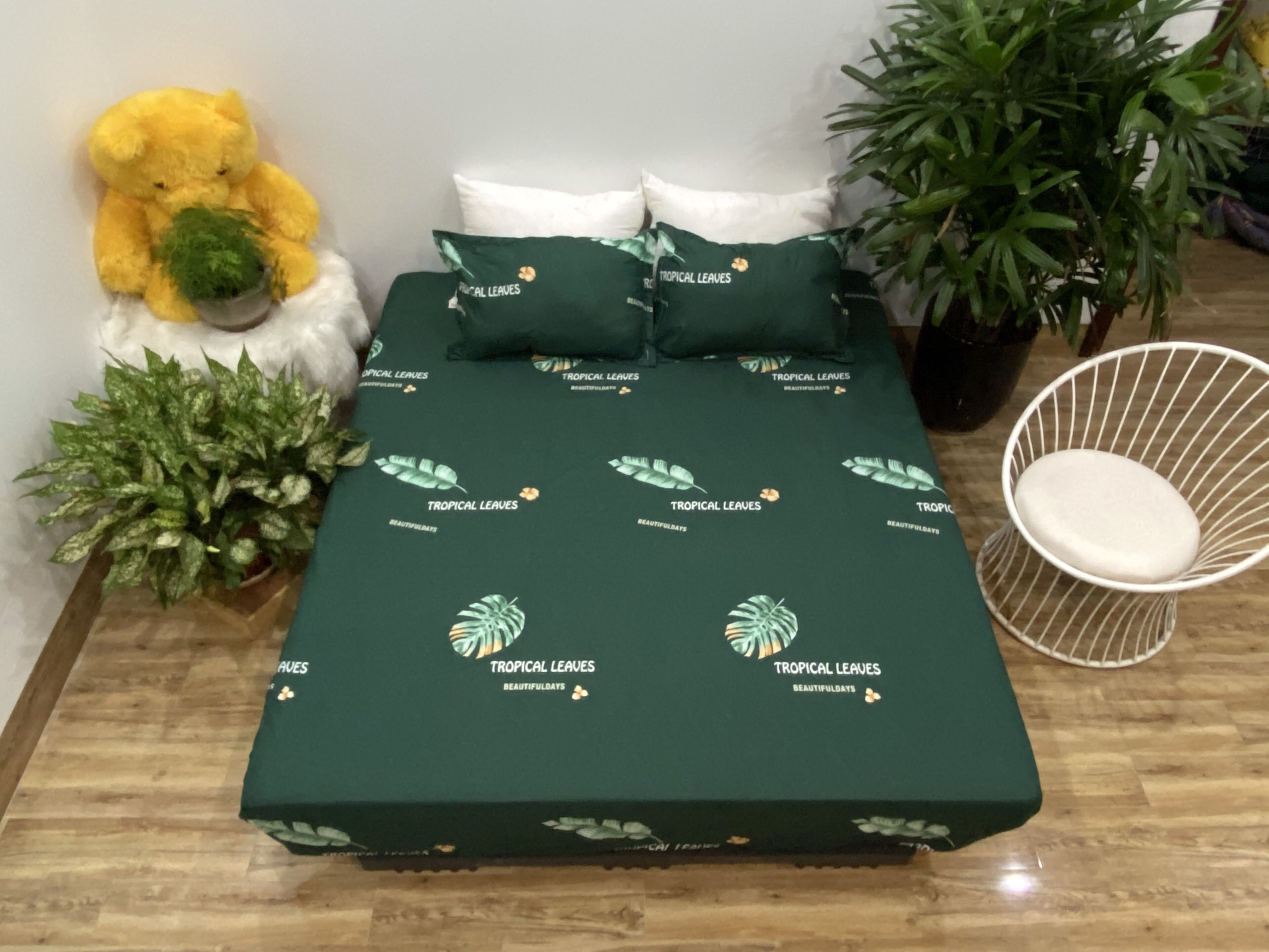 Set ga gối mẫu lá chuối xanh p41