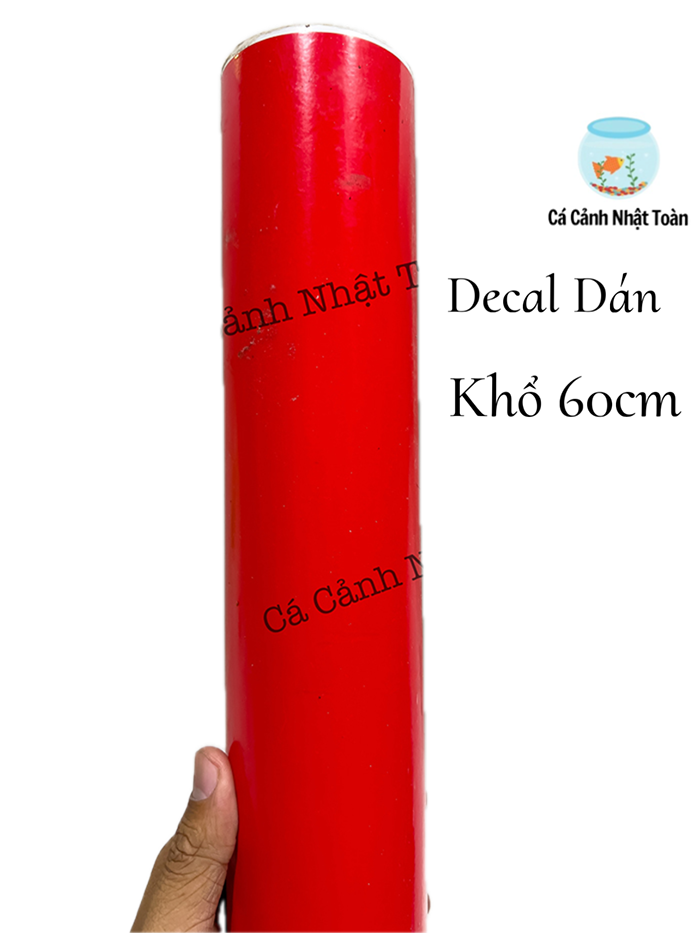 Decal đỏ dán bể cá cảnh, dán xe máy khổ cao 60cm