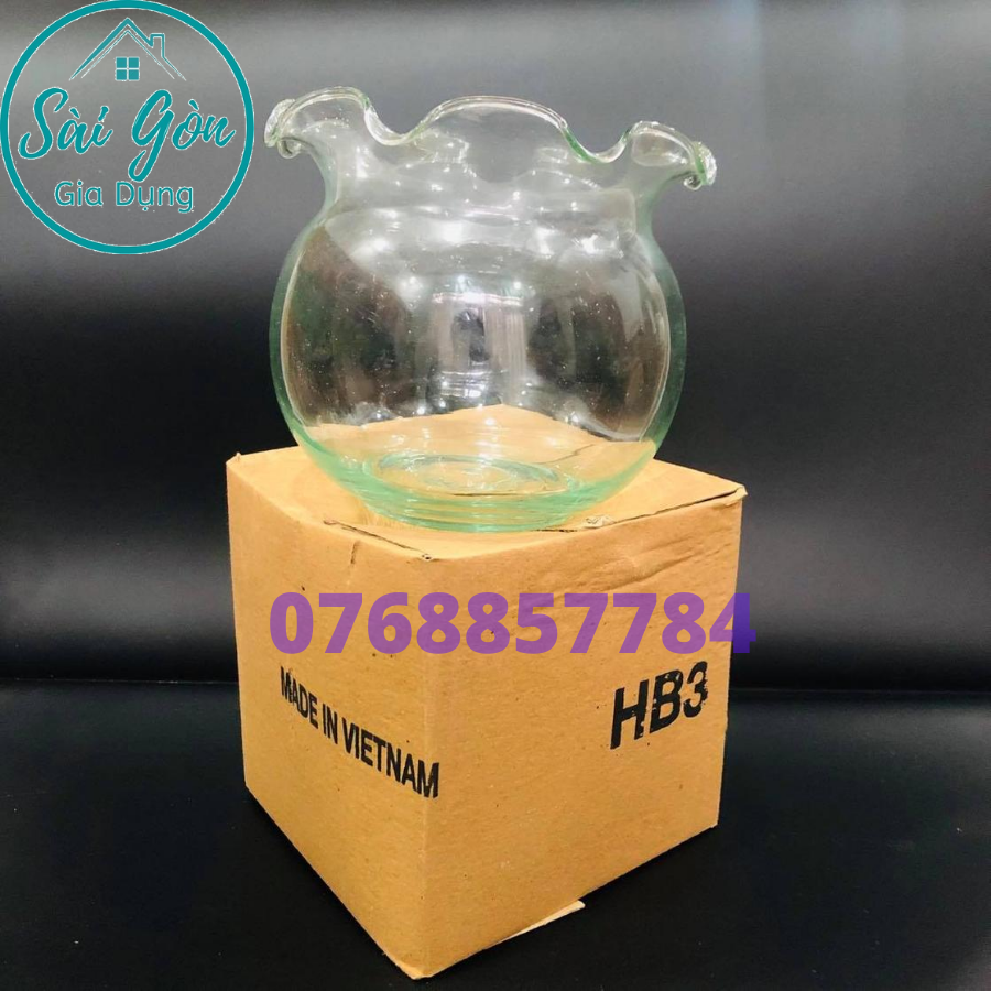 [HCM]Bể thủy tinh bể cá thủy tinh hồ thuỷ sinh hồ cá mini tròn miệng bèo chậu trồng cây thủy canh thủy sinh SG-HB3