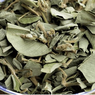 Kim tiền thảo khô lợi tiểu, bài sỏi túi 1kg Việt Nguyên