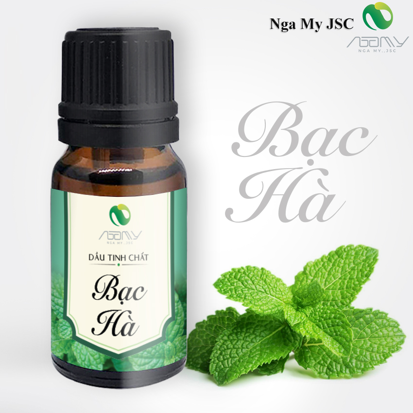 Tinh Dầu Bạc Hà Thiên Nhiên Nguyên Chất Thơm Phòng Giảm Căng Thẳng Đuổi Muỗi Khử Mùi Hôi Dung Tích 10ml IMA STORE