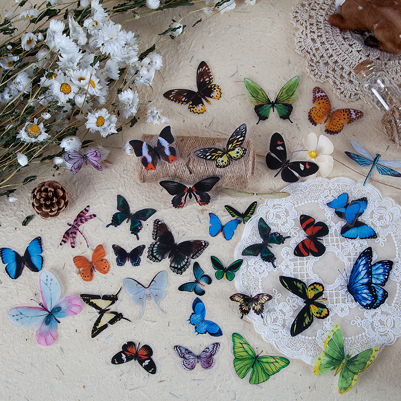 Gói 40 sticker dạng PET Butterfly of Specimen